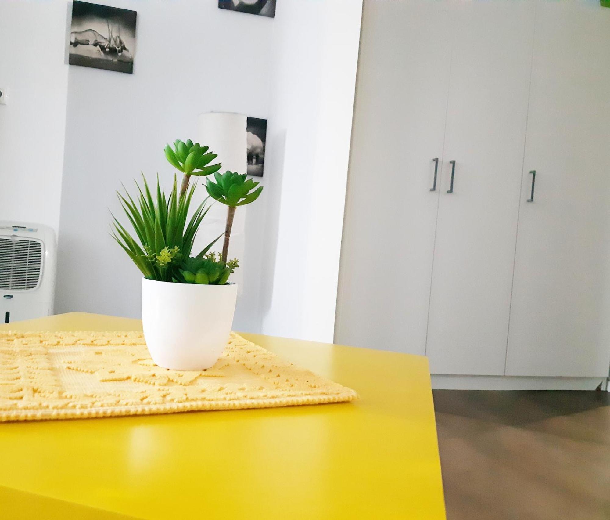 קלוז'-נאפוקה Buna Ziua Apartment Tonitza Nic. מראה חיצוני תמונה